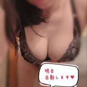 ヒメ日記 2025/02/20 13:05 投稿 秋葉 松戸おかあさん