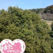 ヒメ日記 2025/03/22 12:41 投稿 秋葉 松戸おかあさん