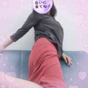 ヒメ日記 2025/07/03 09:23 投稿 秋葉 松戸おかあさん