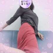 ヒメ日記 2025/10/02 10:43 投稿 秋葉 松戸おかあさん