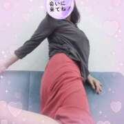 ヒメ日記 2025/10/02 10:45 投稿 秋葉 松戸おかあさん