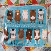 ヒメ日記 2025/11/30 12:06 投稿 秋葉 松戸おかあさん