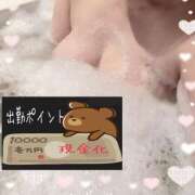 ヒメ日記 2025/12/03 09:13 投稿 秋葉 松戸おかあさん