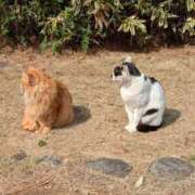 ヒメ日記 2026/02/20 12:55 投稿 秋葉 松戸おかあさん