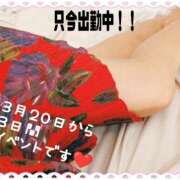 ヒメ日記 2026/03/17 15:01 投稿 秋葉 松戸おかあさん
