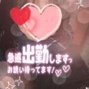 ヒメ日記 2024/12/26 11:49 投稿 大石 松戸おかあさん