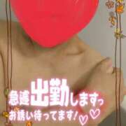 ヒメ日記 2024/12/28 10:26 投稿 大石 松戸おかあさん