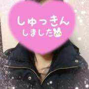 ヒメ日記 2024/12/28 11:49 投稿 大石 松戸おかあさん