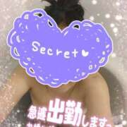 ヒメ日記 2024/12/30 12:55 投稿 大石 松戸おかあさん