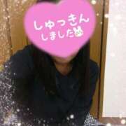 ヒメ日記 2025/04/03 11:17 投稿 大石 松戸おかあさん