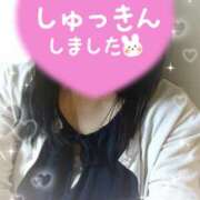 ヒメ日記 2025/05/11 11:19 投稿 大石 松戸おかあさん