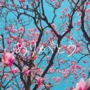 ヒメ日記 2026/02/25 20:05 投稿 大石 松戸おかあさん