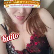 ヒメ日記 2025/04/16 07:16 投稿 海藤 松戸おかあさん