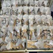 ヒメ日記 2025/04/18 13:41 投稿 海藤 松戸おかあさん