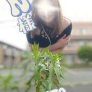 ヒメ日記 2025/05/15 12:32 投稿 海藤 松戸おかあさん