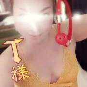 ヒメ日記 2025/06/20 10:36 投稿 海藤 松戸おかあさん