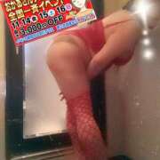 ヒメ日記 2025/11/02 09:05 投稿 海藤 松戸おかあさん