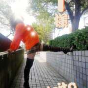 ヒメ日記 2025/11/02 23:25 投稿 海藤 松戸おかあさん