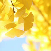 ヒメ日記 2024/12/12 12:39 投稿 新口 松戸おかあさん