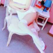 ヒメ日記 2024/12/30 12:12 投稿 新口 松戸おかあさん