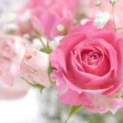 ヒメ日記 2025/05/15 15:27 投稿 新口 松戸おかあさん