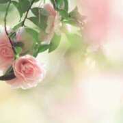 ヒメ日記 2025/05/22 15:49 投稿 新口 松戸おかあさん