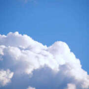 ヒメ日記 2025/07/10 12:29 投稿 新口 松戸おかあさん