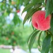 ヒメ日記 2025/07/24 12:35 投稿 新口 松戸おかあさん