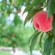 ヒメ日記 2025/08/14 12:12 投稿 新口 松戸おかあさん