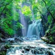 ヒメ日記 2025/08/21 13:45 投稿 新口 松戸おかあさん