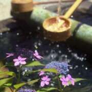 ヒメ日記 2025/08/25 13:46 投稿 新口 松戸おかあさん