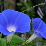 ヒメ日記 2025/08/28 15:25 投稿 新口 松戸おかあさん