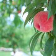 ヒメ日記 2025/09/01 13:35 投稿 新口 松戸おかあさん