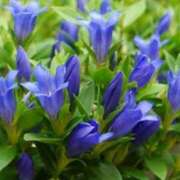 ヒメ日記 2025/09/11 15:25 投稿 新口 松戸おかあさん