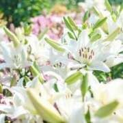 ヒメ日記 2025/09/18 12:55 投稿 新口 松戸おかあさん