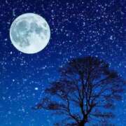 ヒメ日記 2025/11/05 08:08 投稿 新口 松戸おかあさん