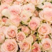 ヒメ日記 2025/11/06 19:05 投稿 新口 松戸おかあさん