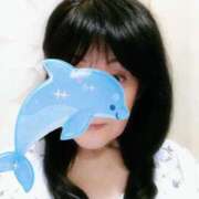 ヒメ日記 2025/11/12 20:27 投稿 新口 松戸おかあさん