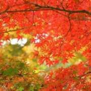 ヒメ日記 2025/12/04 15:15 投稿 新口 松戸おかあさん