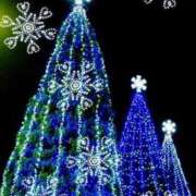 ヒメ日記 2025/12/24 20:45 投稿 新口 松戸おかあさん