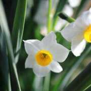 新口 お礼 松戸おかあさん