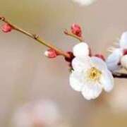 ヒメ日記 2026/01/28 21:51 投稿 新口 松戸おかあさん