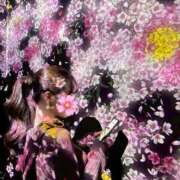 ヒメ日記 2026/01/16 12:08 投稿 柏木（かしわぎ） 今日、私はあなたの部下（マーベリックグループ）