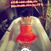 ヒメ日記 2024/12/29 21:44 投稿 平野 松戸おかあさん