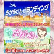 ヒメ日記 2025/02/13 14:20 投稿 平野 松戸おかあさん
