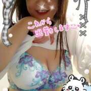 ヒメ日記 2025/10/12 12:15 投稿 平野 松戸おかあさん