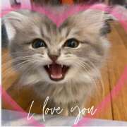 ヒメ日記 2024/12/11 16:07 投稿 本上 松戸おかあさん