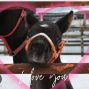 ヒメ日記 2024/12/15 23:30 投稿 本上 松戸おかあさん