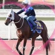 ヒメ日記 2024/12/16 15:53 投稿 本上 松戸おかあさん