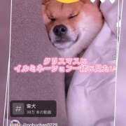 ヒメ日記 2024/12/17 11:23 投稿 本上 松戸おかあさん